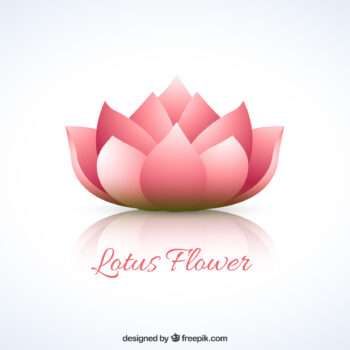 lotus