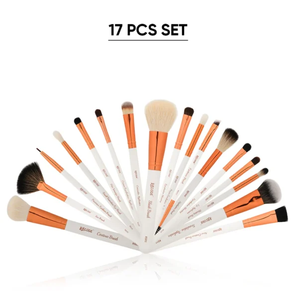 RCBrush17Pc